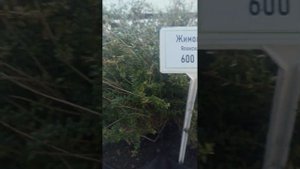 Анапа садовый центр