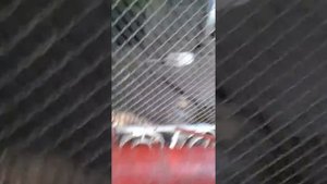 Зоопарк Луганска