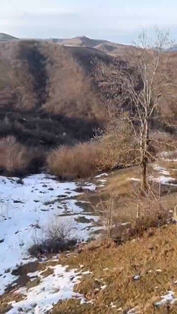 Качели село Гасик, что за вид бомбовый #природа #nature #да