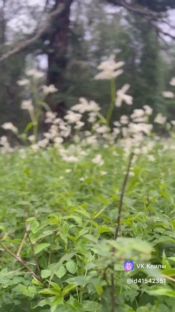 #Большой #иремель #горы #любовь #россия #люблю #путешествия #турист #туризм 🙊♥️⛰️🫶 смотреть онлайн