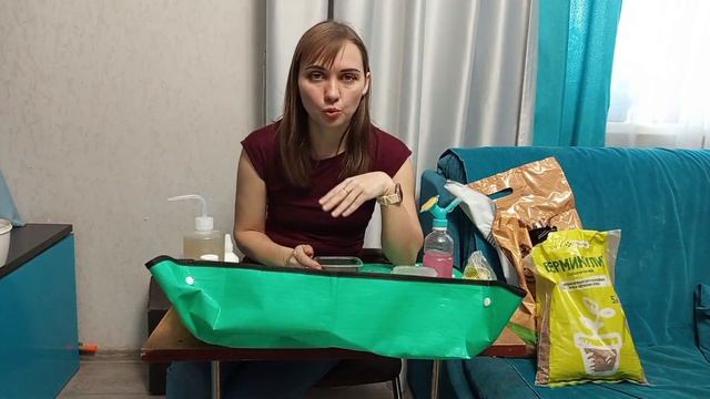 Бальзамин ( Ванька мокрый, огонек) посев и уход