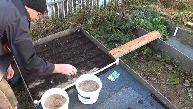 Хотите свежую черемшу весной? Посадите ее правильно о? смотреть онлайн