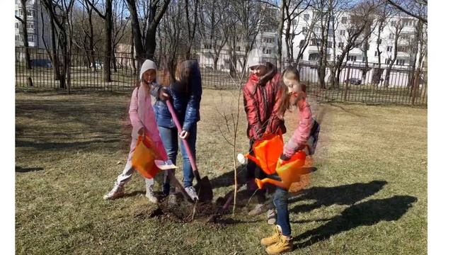 ПОСАДИ ДЕРЕВО смотреть онлайн