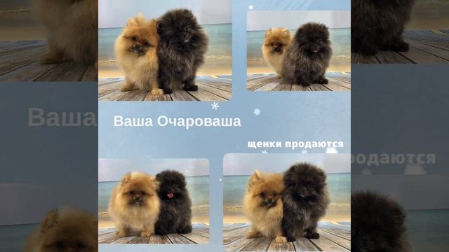 От Ладушки
