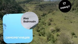 Саморегуляция - что это такое?
#ИкаВайтлайт