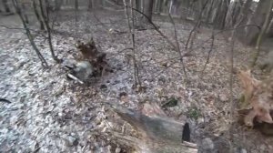 24 ЧАСА БОМЖИВАНИЕ RYTP #6 (Виталий Игнатюк)