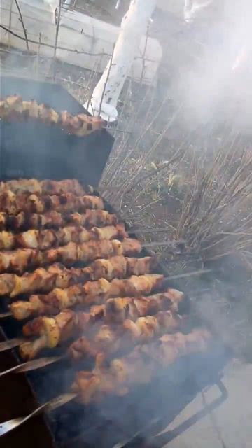 Шашлыки к 8 марта... смотреть онлайн