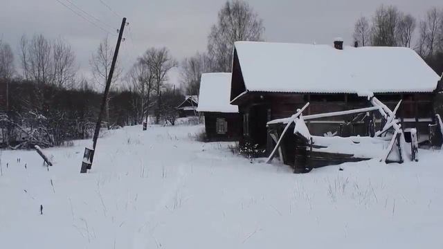 ПОКИНУТАЯ ДЕРЕВНЯ В ЛЕСУ. ШИКАРНЫЕ ДОМА брошены и никому не нужны. Старинная деревня ТРЕСТЬЯНЫ.