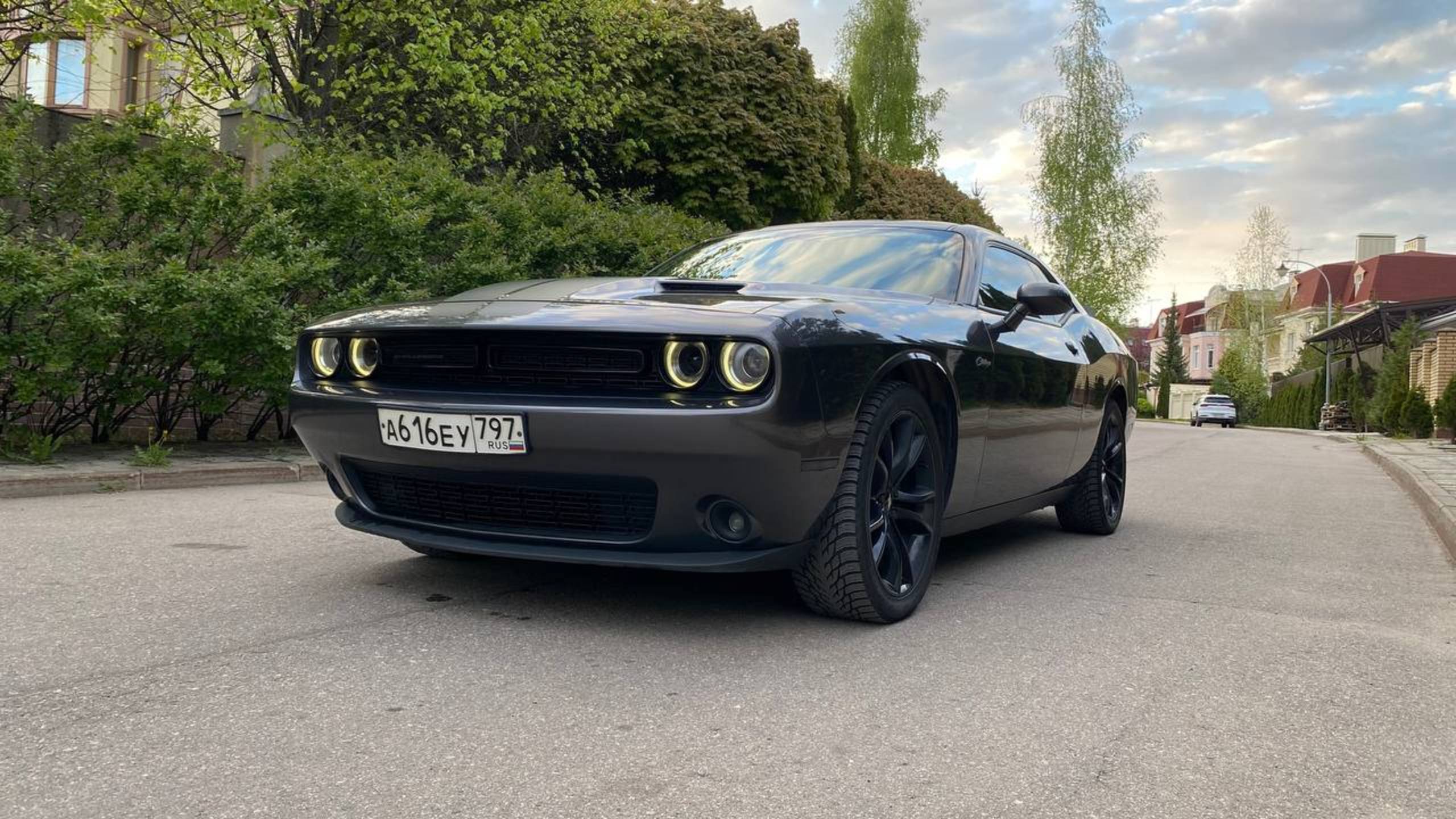 Dodge Challenger 3.6 AT, 2017, 98 000 км смотреть онлайн