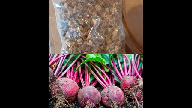 19 марта 2024 г.Наши свои семена овощей смотреть онлайн