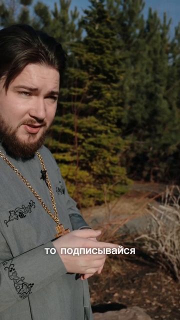 Поставь лайк и в пруду заведутся рыбки #батюшка #реком? смотреть онлайн