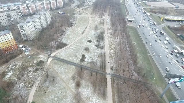 Парк Кузьминки Посадка деревьев 24.11.2017 Видео1