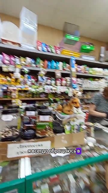 Как понять женщину?💐 #сад #огород #садовод #цветы #отно смотреть онлайн