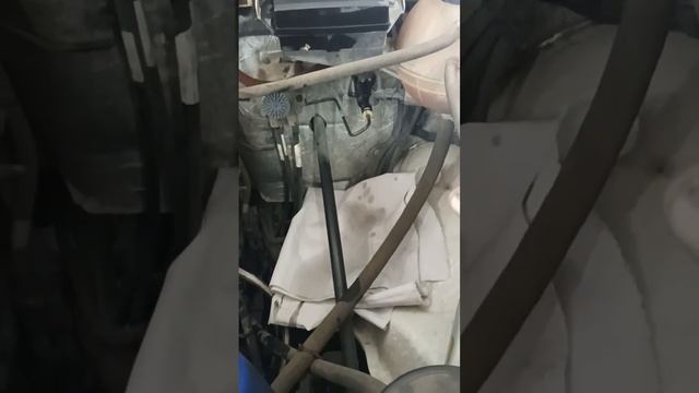 26 ноября 2022 г.(1) смотреть онлайн