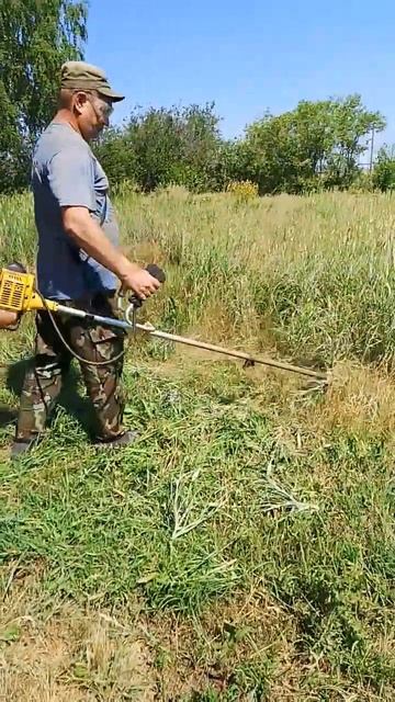 покос #огородныедела #огород #огородничество #дача #мо?