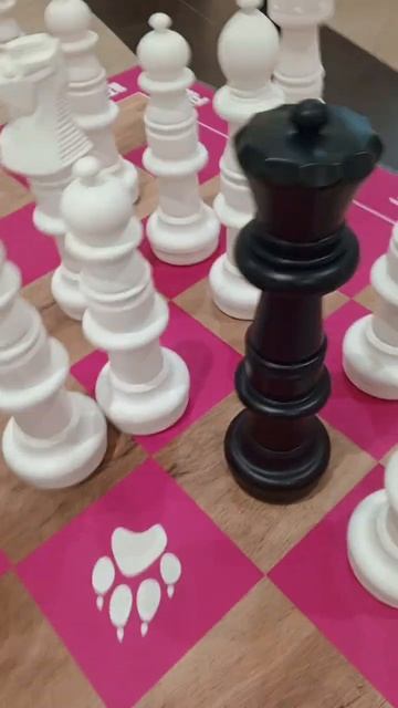 #жизнь#шахматы #игра смотреть онлайн