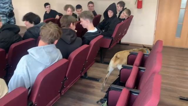Экскурсия в МО МВД России