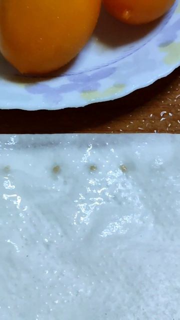 ВЫРАЩИВАНИЕ РАССАДЫ ТОМАТОВ И ПЕРЦА БЕЗЗЕМЕЛЬНЫМ СПО смотреть онлайн