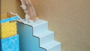 Захватывающее приключение хомяка в мире Соника! | Лабиринт хомяка