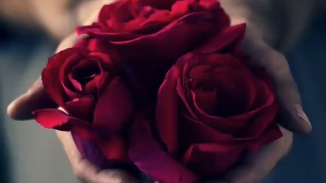 Бехтарин суруди Эрони смотреть онлайн