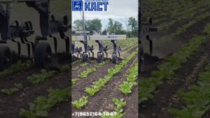 Скоростной междурядный культиватор Agrokraft Gelio