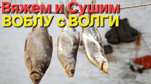 🔥Как ВЯЗАТЬ ВОБЛУ и как её СУШИТЬ?🔥на Волге в Астрахани !!!