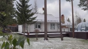 Что растёт в теплице в начале ноября. Как сохраняю свежую зелень