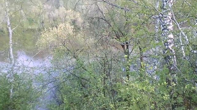 Воспоминания о весне #огород #река #половодье #видео