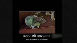 Дорогой дневник  Мне не подобрать слов, что бы описать ту боль и унижение МЕМ