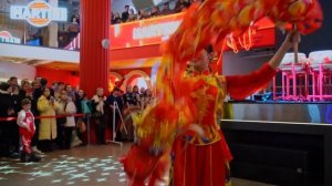 Танец Голубого Дракона и маленьких Дракончиков