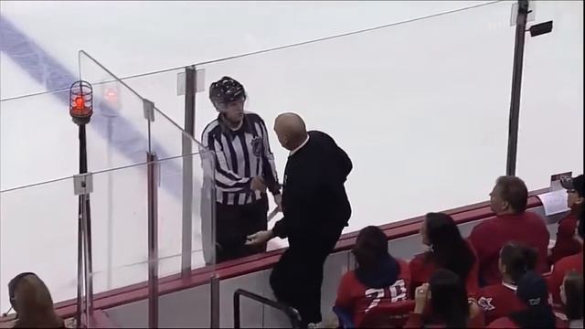 Приколы хоккей NHL часть 1