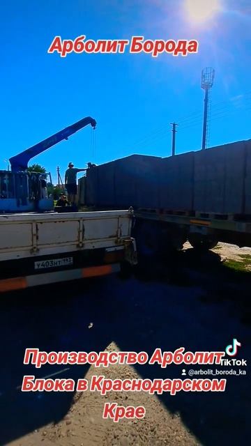 дома из арболитовых блоков