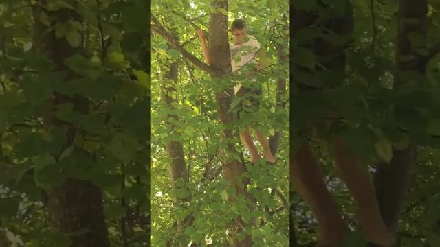 Винни пух на дереве смотреть онлайн