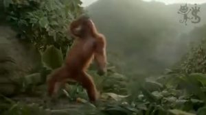 С понедельника по пятницу