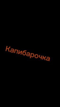 Капибарочка новей шое видео