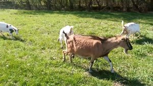 Отдохните с нами