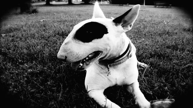 ✵Сборник Для Пацанов Осень 2022✵Музыка В Машину✵Музыка На Район 2022✵ смотреть онлайн