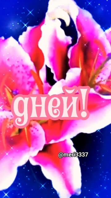 Пожелания друзьям.Музыкальная открытка. #шортс2023