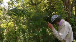 ПОДГОРНОЕ, Марий Эл. В гостях у ОТШЕЛЬНИКА. РАЙСКИЙ САД