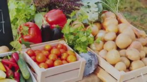 ЭКОЛОГИЧЕСКИ ЧИСТЫЕ ПРОДУКТЫ ПИТАНИЯ