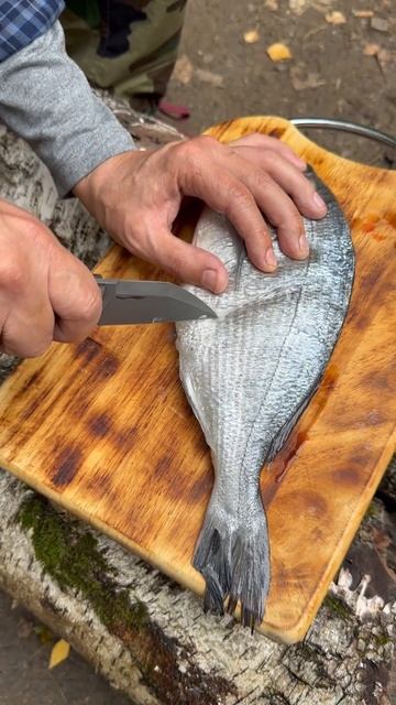 Дорадо на углях (мангале, гриле) 🐟 #asmr смотреть онлайн