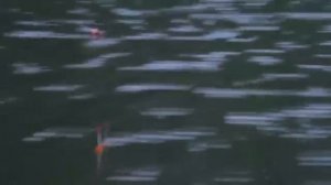 Рыбалка Рецепт каши для ловли толстолоба