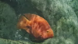 Океан в гостях у нас, мы в гостях у океана.