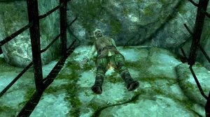 The Elder Scrolls V: Skyrim. Добыть кровь лесного эльфа. Прохождение от SAFa