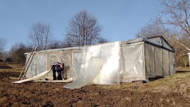 Ремонт теплицы, ветер помогает.#дача #теплица #семья