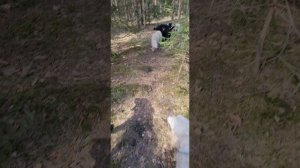 Адресники