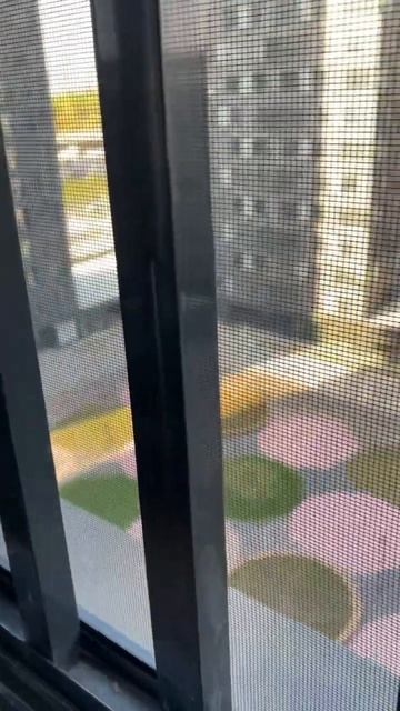 Москитная сетка на французский балкончик #антикошка #? смотреть онлайн