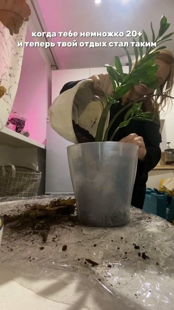 Хочется просто посадить цветы и рассаду #bloggerlifestyle #lifest смотреть онлайн