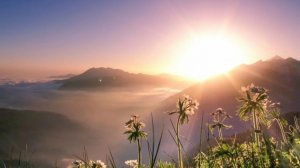 Овен. Дополнение.