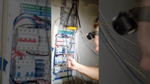 🔌 Как разделать кабель (нож Jokari) ✅ #электрика #кабель #